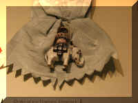 a e ctr_316_1.JPG (39300 bytes)