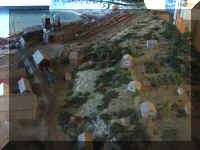 a f0730 fayette diarama_108_1.JPG (52193 bytes)