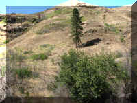 a f0826hc_275 ol rd out2_1.JPG (68107 bytes)