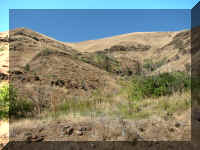 a f0826hc_276 ol rd out3_1.JPG (56672 bytes)
