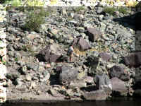 a f0826hc_400 dam12_1.JPG (82373 bytes)