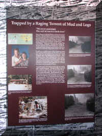 a a f0912wa msh_415_1 survivors.JPG (57456 bytes)