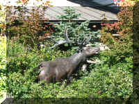 a f0912wa msh_178 moose scupt_1.JPG (102018 bytes)