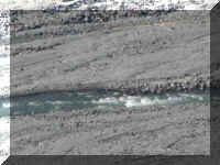 a f0912wa msh_186 river close_1.JPG (52697 bytes)