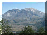 a f0912wa msh_482 msh17_1.JPG (46167 bytes)