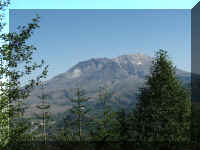 a f0912wa msh_493 msh18_1.JPG (49329 bytes)