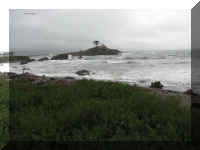 a a f1002ca reds_100 cc shore_1.JPG (33067 bytes)