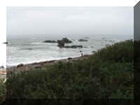 a a f1002ca reds_103 cc shore_1.JPG (33491 bytes)