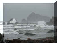 a a f1002ca reds_120 cc shore_1.JPG (27107 bytes)