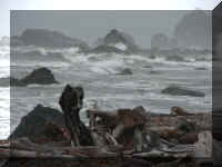 a a f1002ca reds_121 cc shore_1.JPG (36431 bytes)