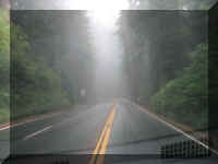 b f1003ca rd_115 road wetfog_1.JPG (25512 bytes)