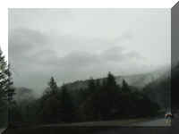 b f1003ca rd_268 road fog_1.JPG (19512 bytes)