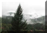 b f1003ca rd_283 smokey mt_1.jpg (28641 bytes)