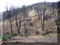 b f1003ca rd_369 burned_1.JPG (57220 bytes)