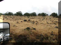 d f1004ca nv_116 rocky fields_1.JPG (40289 bytes)