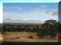 d f1004ca nv_119 rocky fields_1.JPG (34785 bytes)