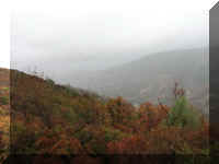 d f1004ca nv_139 vista pt_1.JPG (31326 bytes)