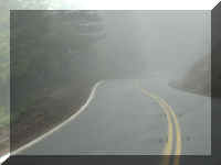 d f1004ca nv_142 fog_1.JPG (19132 bytes)