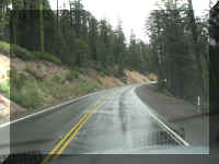 d f1004ca nv_155 pretty wet_1.JPG (45364 bytes)