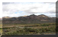 d f1004ca nv_246 field_1.jpg (32648 bytes)