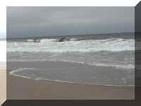 a  f0917or nbsp_120 waves_1.JPG (25511 bytes)