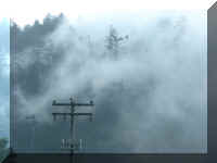 a f0916or_144 fog_1_1.JPG (19733 bytes)