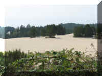 a a f0919or tm_157 dune_1.JPG (43362 bytes)
