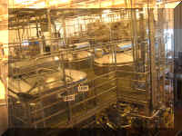 b f0920or till_490 tc6_1.JPG (64302 bytes)