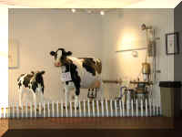 b f0920or till_520 tc13_1.JPG (34403 bytes)