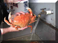 d f0920or till_543 cg5_1.JPG (44430 bytes)