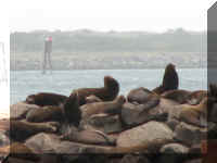 a a f0924 or newport_105 seal_1.JPG (31729 bytes)