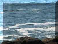 a f0922or shr_395 w_1.JPG (55457 bytes)