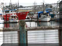 d f0923or cst_430 harbor_1.JPG (58527 bytes)