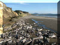 d f0927or blanco_386 cbsp beach drift_1.JPG (59957 bytes)