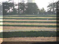 d f0927or blanco_402 cranberry_1.JPG (51624 bytes)
