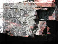 a f0801 pipestone lichens_372_1.JPG (66708 bytes)