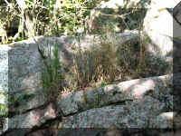 a f0801 pipestone lichens_374_1.JPG (83472 bytes)