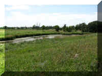 a f0801 pipestone lk hiawatha_213_1.JPG (52084 bytes)