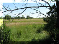 a f0801 pipestone prairie_180_1.JPG (67434 bytes)
