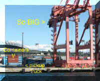 x f0906wa s _298 hc crane crop txt_1.jpg (63678 bytes)