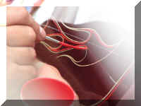 a f0804 sd pinstriping_359_1.JPG (28989 bytes)