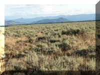 a f0815trr_118_1.JPG (64400 bytes)