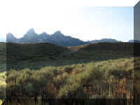 a f0815trr_121_1.JPG (39832 bytes)