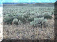 a f0815trr_138_1.JPG (65325 bytes)