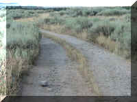 a f0815trr_163_1.JPG (53610 bytes)