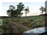 a f0815trr_181_1.JPG (46068 bytes)