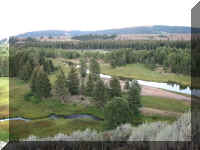 a f0815trr_183_1.JPG (47306 bytes)