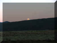 a f0815trr_192_1.JPG (17400 bytes)