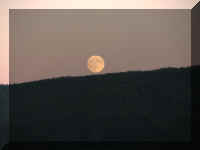 a f0815trr_196_1.JPG (13320 bytes)