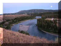 a f0815trr_224_1.JPG (37938 bytes)